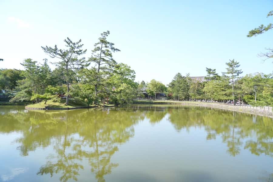 Nara Early Bird Tour (Kyoto Departure Option Available) - Key Things That Make This Tour Worth Your Morning