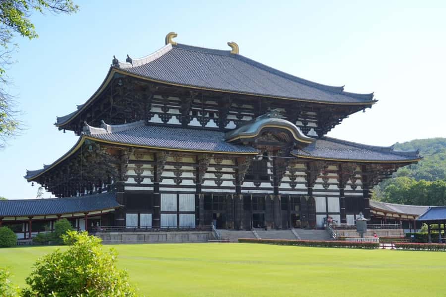 Nara Early Bird Tour (Kyoto Departure Option Available) - The Early Bird Advantage: How Timing Shapes What You See