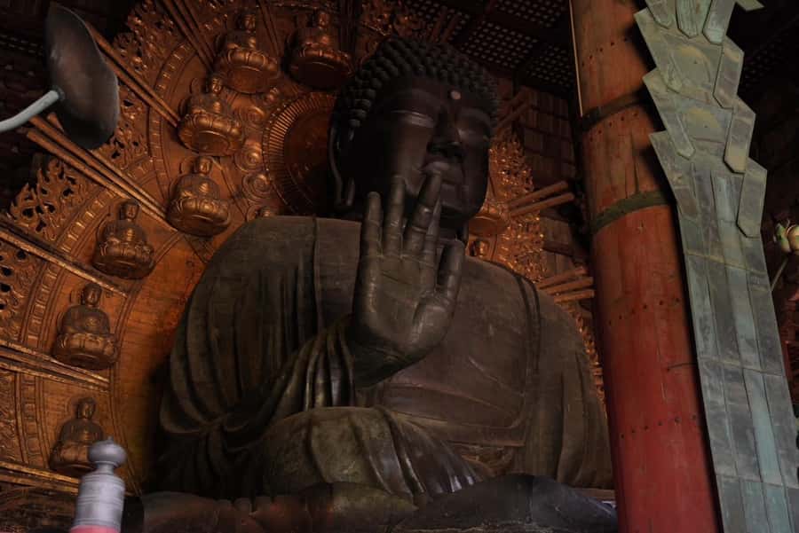 Nara Early Bird Tour (Kyoto Departure Option Available) - Nara Park and Deer Encounters: The Highlight That Changes With the Time of Day