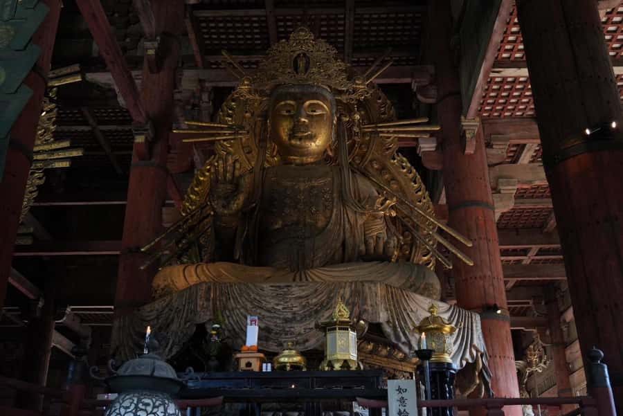 Nara Early Bird Tour (Kyoto Departure Option Available) - Kasuga Grand Shrine: A Different Pace After Temples and Park Time