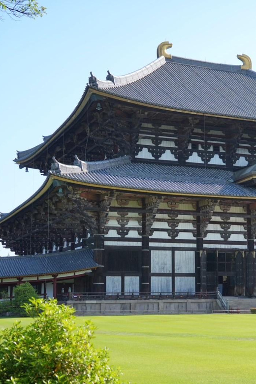 Nara Early Bird Tour (Kyoto Departure Option Available) - How Your Finished-By-Noon Schedule Unlocks Kyoto or Osaka Plans