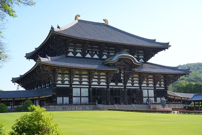 Nara Early Morning Tour (Kyoto or Osaka Departure Available) - Nara at sunrise: why this half day feels calmer