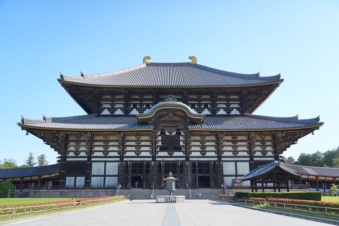 Nara Early Morning Tour (Kyoto or Osaka Departure Available) - Stop 3: Nara Park deer time, before it gets hectic