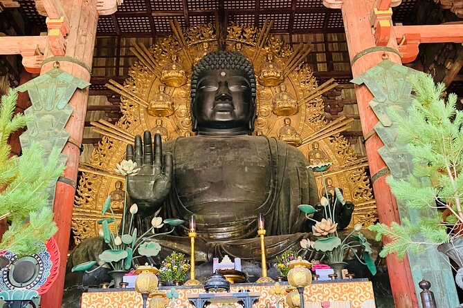 Nara: Essential Private Tour with Deer Park and Temples - Why This Nara Private Tour Works in About Three Hours