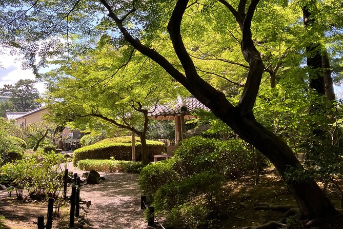 Nara: Essential Private Tour with Deer Park and Temples - Yoshikien Garden: A Calm Finish With Seasonal Beauty