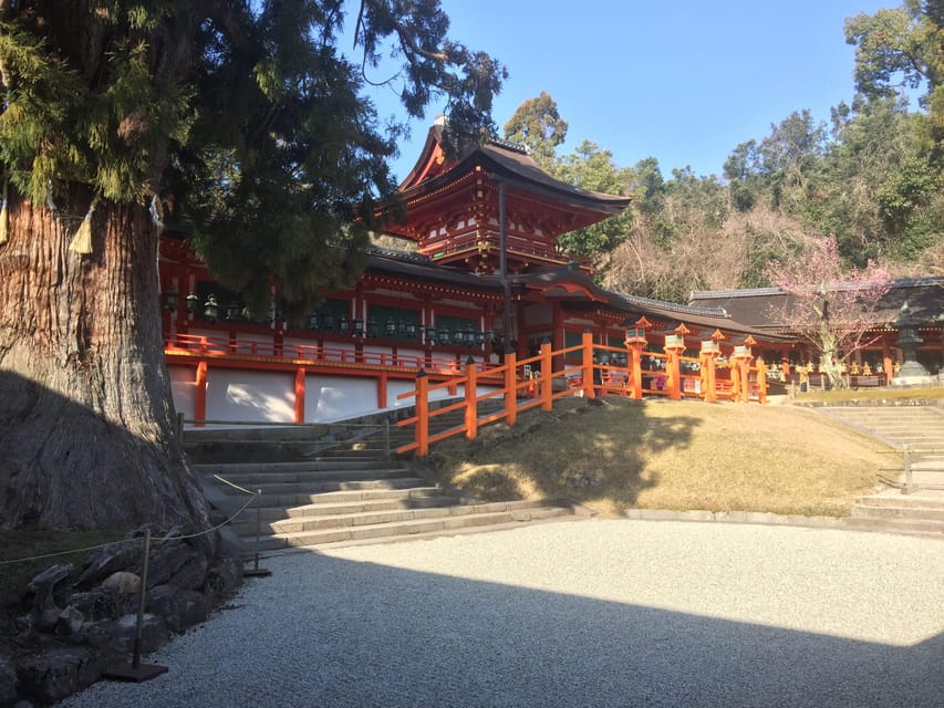 Nara: Full-Day Private Guided Tour - Price and logistics: when $225 feels like good value