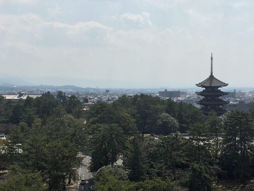 Nara: Full-Day Private Guided Tour - Why Nara works so well on foot and public transport