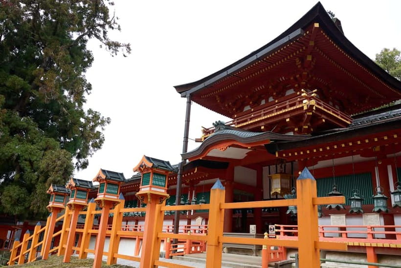 Nara: Great Buddha, Kasuga Shrine & Deer Park Tour - Todai-ji Great Buddha Hall: standing inside Daibutsuden