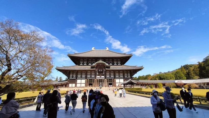 Nara: Great Buddha, Kasuga Shrine & Deer Park Tour - How the best guides make the tour feel personal
