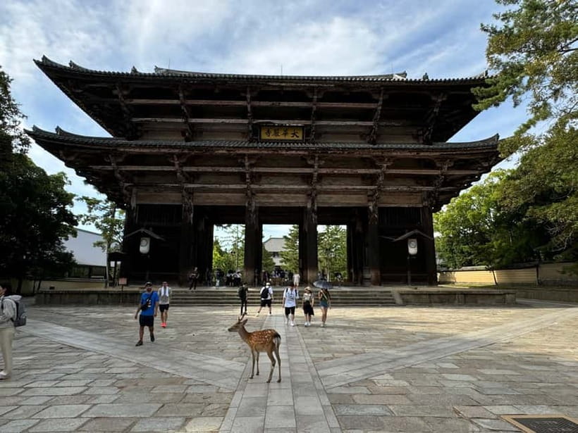 Nara: Great Buddha, Kasuga Shrine & Deer Park Tour - Drop-off near Kasuga Taisha’s second torii, then keep moving