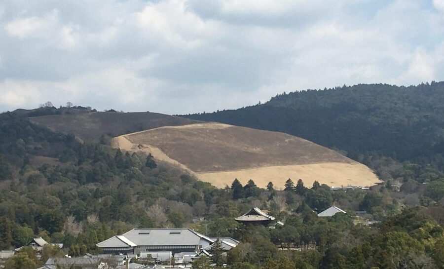 Nara: Half-Day Private Guided Tour - Tōdai-ji: Japan’s Giant Buddha and the World’s Biggest Wooden Building