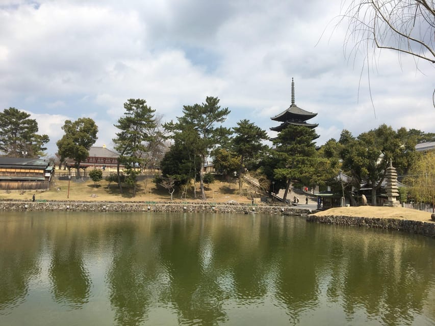 Nara: Half-Day Private Guided Tour - Price and Value: What $135 Covers, and What to Budget Extra