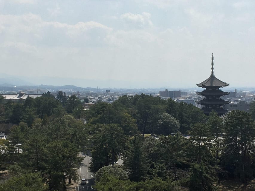 Nara: Half-Day Private Guided Tour - Pickup Points, Walking Pace, and How the Tour Actually Runs