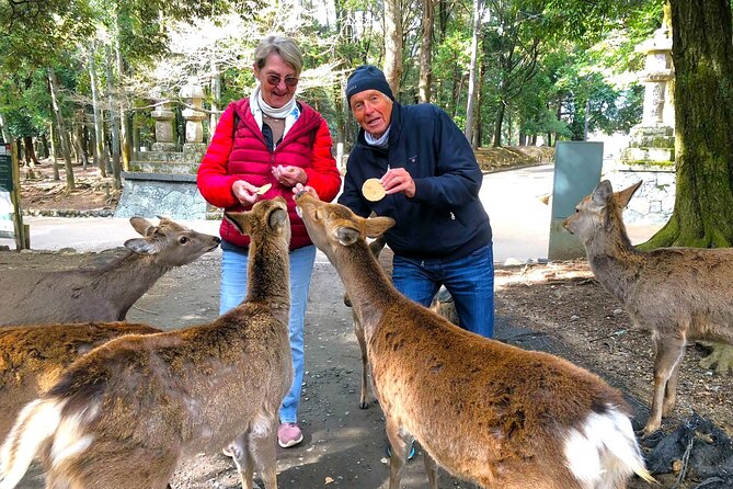 Nara: Half-Day Private Tour of 4 Must-See Spots & Deer Park - A Half-Day That Actually Has a Plan