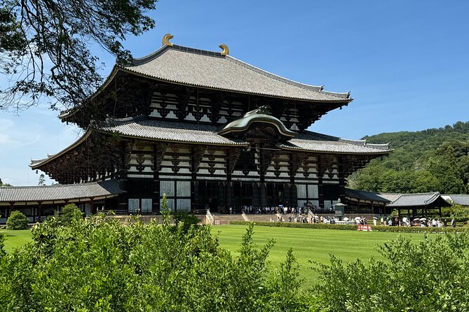 Nara: Half-Day Private Tour of 4 Must-See Spots & Deer Park - Logistics That Affect Your Comfort