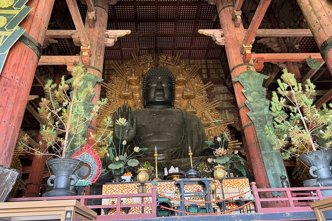 Nara: Half-Day Private Tour of 4 Must-See Spots & Deer Park - Naramachi old town, merchant homes, and narrow alley time
