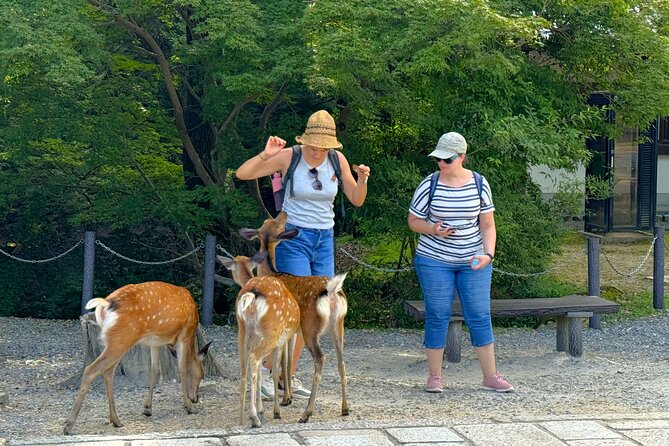 Nara: Half-Day Private Tour of 4 Must-See Spots & Deer Park - Starting Points and What They Mean for Your Day