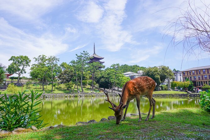 Nara Half Day Trip Walking Tour (Private Option Available) - Kofuku-ji’s five-story pagoda: stop for the icon, not the lecture