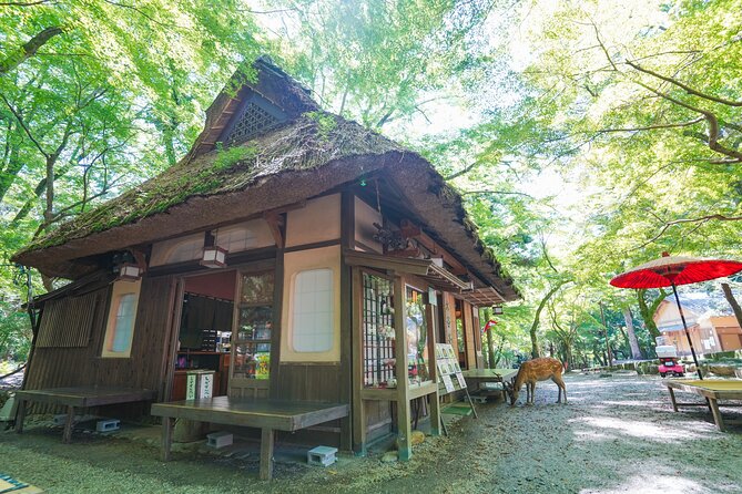 Nara Half Day Trip Walking Tour (Private Option Available) - Naramachi: stepping into an older Nara that feels different