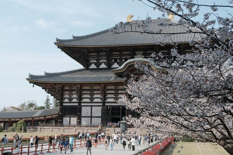 Nara Heritage Walkabout from Nara Park to Todaji-ji temple - Key points to know before you book