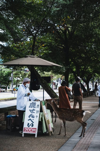 Nara Heritage Walkabout from Nara Park to Todaji-ji temple - Price and value: why $102 can work in Nara