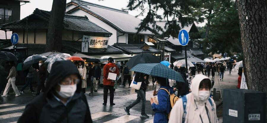Nara Heritage Walkabout from Nara Park to Todaji-ji temple - How the guide changes your experience (and why it matters)