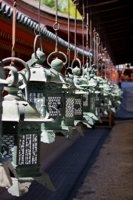 Nara Heritage Walkabout from Nara Park to Todaji-ji temple - Who should book this Nara Heritage Walkabout