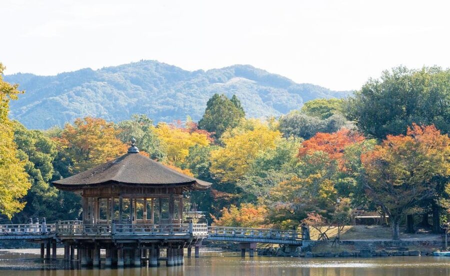 Nara: Private City Tour With A Local Guide - Key highlights you can bank on