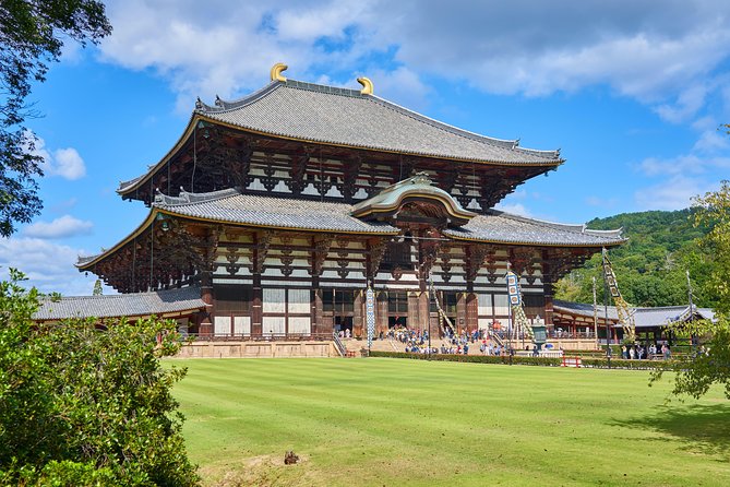 Nara Private Customizable Half Day Tour - Timing: a morning start and a full experience pace