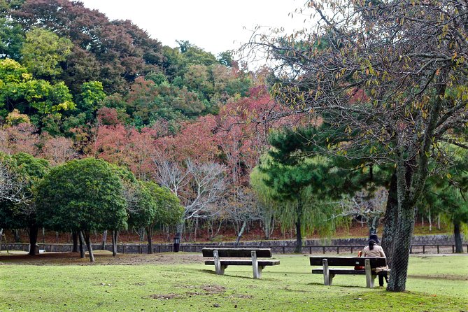 Nara Private Customizable Half Day Tour - Price and value: $160.33 per person for a tailored half-day