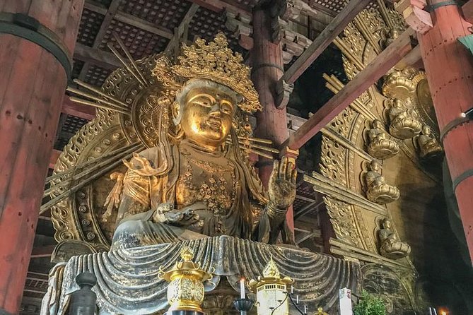 Nara Private Day Trip - Enjoy Your First-Time Visit to Nara! - A first-timer friendly Nara route that does not waste your hours