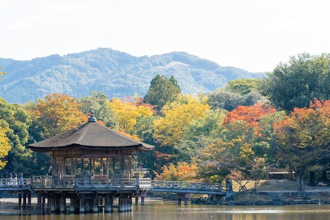 Nara : Private Day Walking Tour (From Osaka/Kyoto Possible) - Todai-ji Temple and the Great Buddha Moment