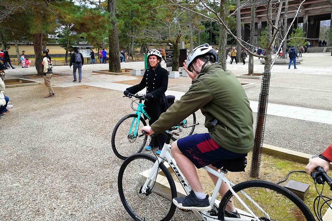 Nara - Private Family Bike Tour - Stop 4: Kasuga Grand Shrine and Shinto spiritual context