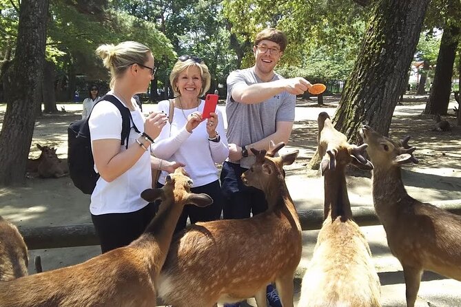 Nara Private Tour: Flexible Pickup from Kyoto, Osaka, or Nara - Key highlights that make this Nara private tour work