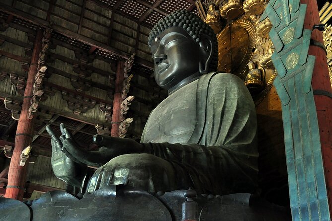 Nara Private Tour: Flexible Pickup from Kyoto, Osaka, or Nara - The smart advantage: a local guide turns famous Nara into an easy day