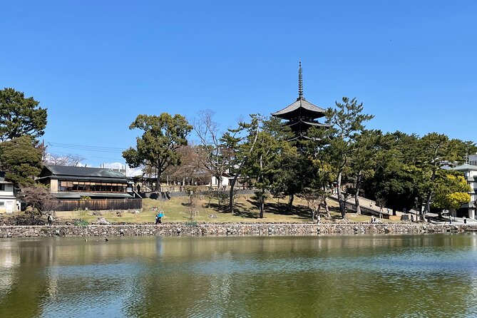 Nara Private Tour: Flexible Pickup from Kyoto, Osaka, or Nara - Kasuga Grand Shrine and the lantern forest: quiet drama