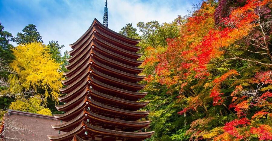 Nara: Private Tour with Private Guide - Key things I’d bet on in this private Nara tour