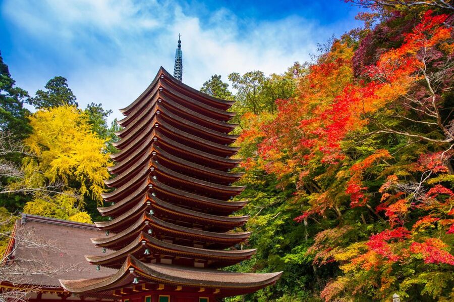 Nara: Private Tour with Private Guide - Why private guide time changes Nara fast