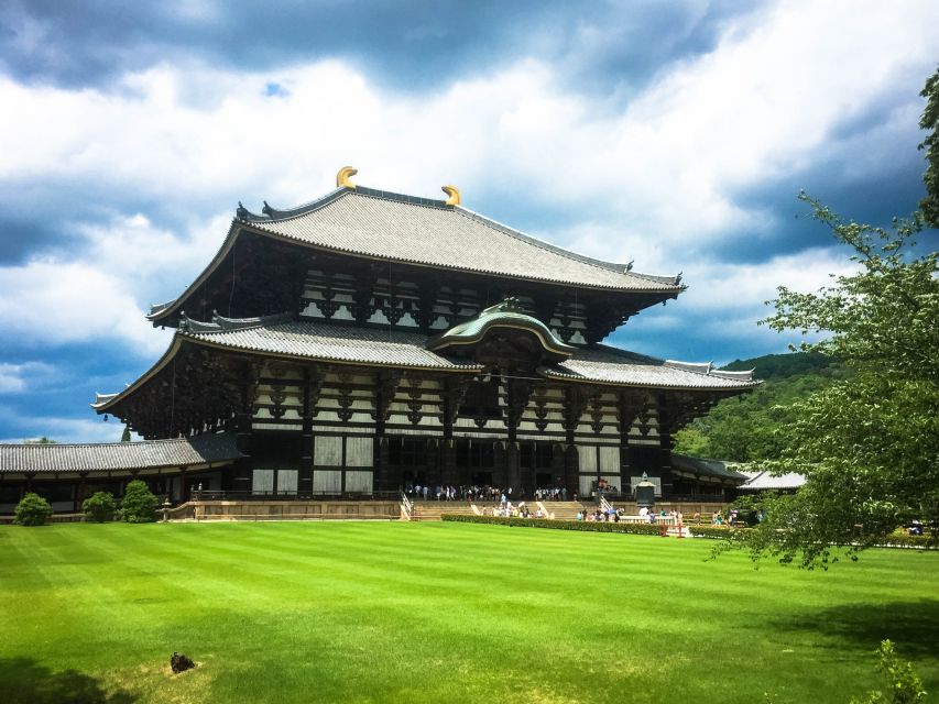 Nara: Private Tour with Private Guide - Nara Park deer feeding: fun photos, real etiquette, and a smart pause