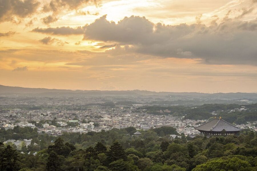 Nara: Private Walking Tour with a Local - Why a private Nara walk feels different
