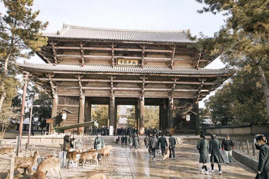 Nara: Private Walking Tour with a Local - Food, shopping, and how to get around without stress