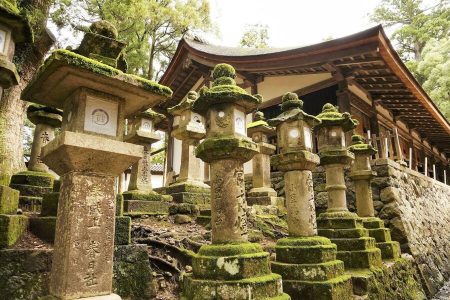 Nara: Private Walking Tour with a Local - Price and value: what $82 buys you in Nara