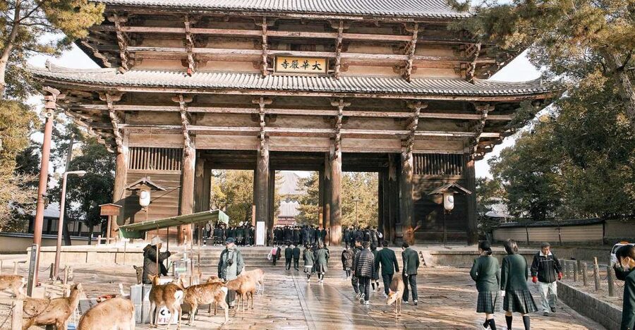 Nara: Private Walking Tour with a Local - Meet your Lokafyer near JR Nara Station or Naramachi Shiryo-kan