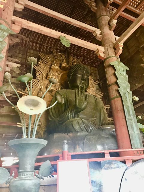 Nara: Todai-ji y parque de Nara (Spanish Guide) - Key highlights you will actually feel in 5 hours