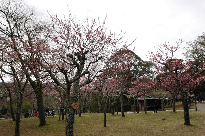 Nara Todaiji Kasuga Taisha Private Full Day Tour From Kyoto - The Gyoki Statue stop: a calm start before the crowds