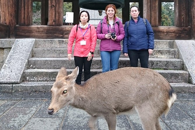Nara Todaiji Lazy Bird Walking Tour - Hokke-do: oldest-on-the-grounds vibes and 8th-century statues