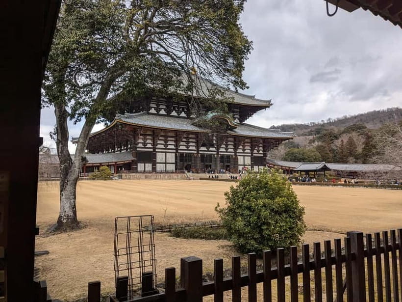 Nara: UNESCO Heritage Sites & Deer Park Tour with Pro guide - Key highlights you will feel right away