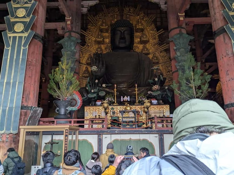Nara: UNESCO Heritage Sites & Deer Park Tour with Pro guide - Pace, comfort, and who should skip this one