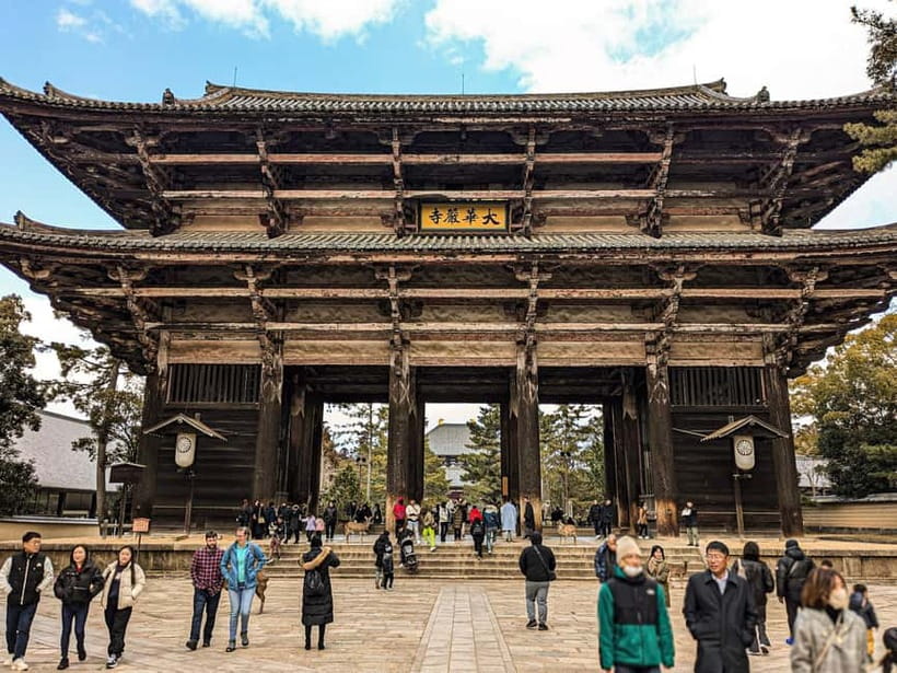 Nara: UNESCO Heritage Sites & Deer Park Tour with Pro guide - Nara Park deer feeding: fun, spiritual, and practical