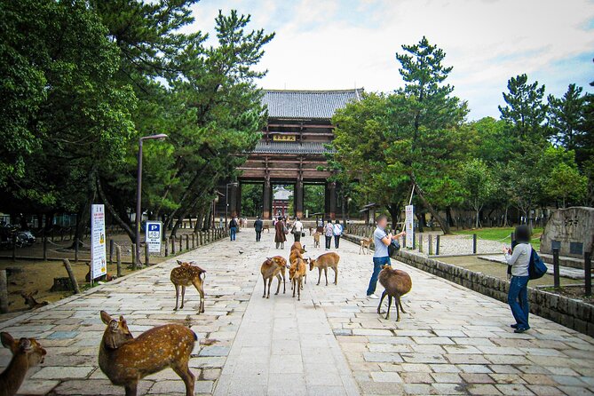 Nara World Heritage PRIVATE TOUR - Ukimido Pavilion at Sagiike: The Calm Break Between Temple Hits